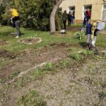 Общеобластной субботник