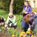 Челендж «Зеленые истории» Челендж «Зеленые истории»