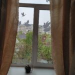 Окна Победы