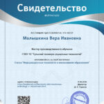 Малышкина Вера Ивановна Малышкина Вера Ивановна