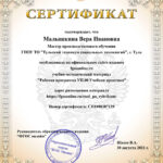 Малышкина Вера Ивановна Малышкина Вера Ивановна