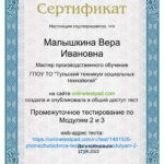 Малышкина Вера Ивановна Малышкина Вера Ивановна