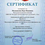 Малышкина Вера Ивановна Малышкина Вера Ивановна
