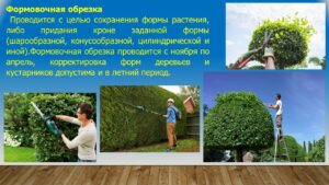 Павловец Ираида Александрова