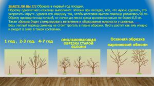 Павловец Ираида Александрова