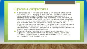 Павловец Ираида Александрова