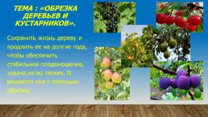 Павловец Ираида Александрова