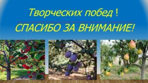 Павловец Ираида Александрова