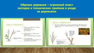 Павловец Ираида Александрова