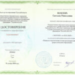 Шлеева Светлана Николаевна Шлеева Светлана Николаевна