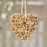 Покормите птиц зимой - 2023