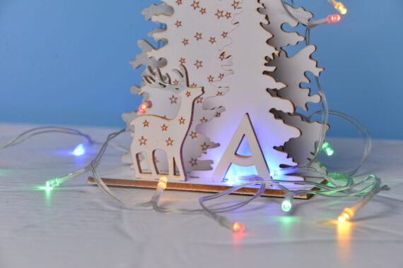 Награждение участников Отборочного этапа Национального чемпионата «Абилимпикс»