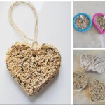 Покормите птиц зимой - 2023