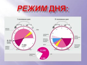 Шлеева Светлана Николаевна Шлеева Светлана Николаевна