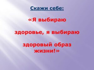 Шлеева Светлана Николаевна Шлеева Светлана Николаевна