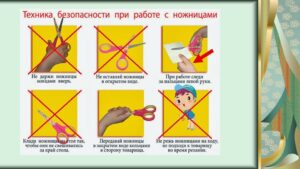 Шлеева Светлана Николаевна Шлеева Светлана Николаевна