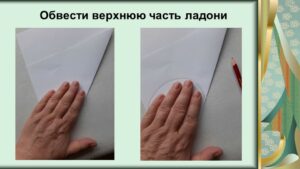 Шлеева Светлана Николаевна Шлеева Светлана Николаевна