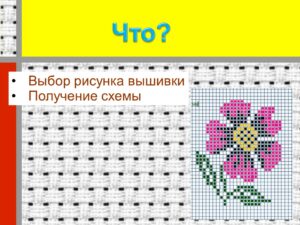 Шлеева Светлана Николаевна Шлеева Светлана Николаевна