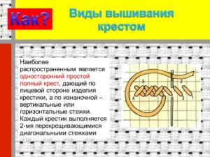 Шлеева Светлана Николаевна Шлеева Светлана Николаевна