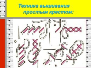 Шлеева Светлана Николаевна Шлеева Светлана Николаевна