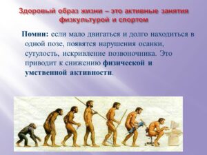 Шлеева Светлана Николаевна Шлеева Светлана Николаевна