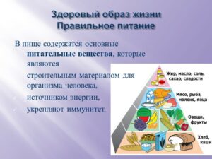 Шлеева Светлана Николаевна Шлеева Светлана Николаевна