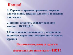 Шлеева Светлана Николаевна Шлеева Светлана Николаевна