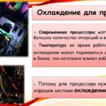 Шестова Елизавета Сергеевна Шестова Елизавета Сергеевна