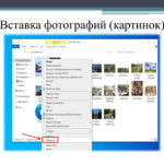 Шестова Елизавета Сергеевна Шестова Елизавета Сергеевна