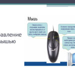 Шестова Елизавета Сергеевна Шестова Елизавета Сергеевна