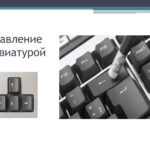 Шестова Елизавета Сергеевна Шестова Елизавета Сергеевна