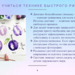 Шестова Елизавета Сергеевна Шестова Елизавета Сергеевна