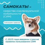 Время самокатов: ездим по правилам Время самокатов: ездим по правилам