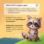 Жаркое лето: спасаемся от жары