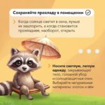 Жаркое лето: спасаемся от жары