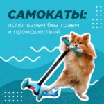 Время самокатов: ездим по правилам Время самокатов: ездим по правилам