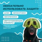 Время самокатов: ездим по правилам Время самокатов: ездим по правилам