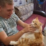 04 октября Всемирный день защиты животных 04 октября Всемирный день защиты животных