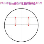 Долгополова Елена Александровна Долгополова Елена Александровна