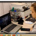 С анимацией на Ты