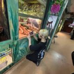 Экологическое воспитание