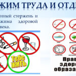 Комарова Наталья Геннадьевна Комарова Наталья Геннадьевна