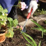 Всемирный день Земли Всемирный день Земли