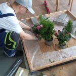 Абилимпикс - 2025 Абилимпикс - 2025