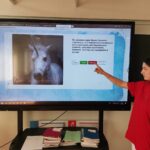 Разговоры о важном Разговоры о важном