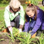 Всемирный день Земли Всемирный день Земли