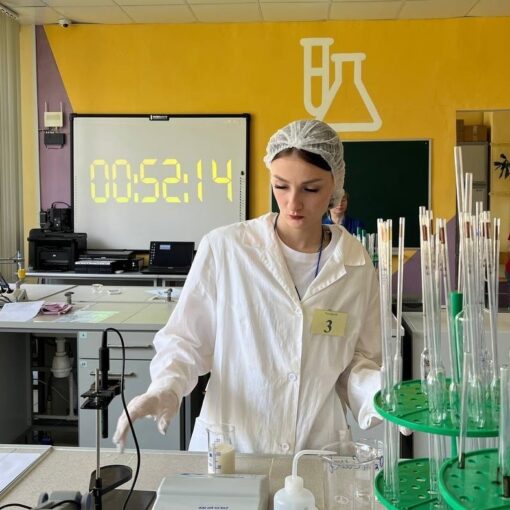 Абилимпикс – 2025 Абилимпикс – 2025