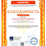 Соколова Юлия Андреевна Соколова Юлия Андреевна