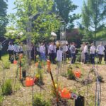 Юные натуралисты в сохранении биологического разнообразия: цветы Победы!