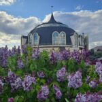 18 мая — Международный день музеев, в этот день отмечается важность культурного наследия и роль музеев для всестороннего развития общества